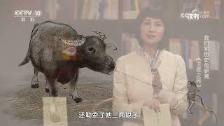 《读书》 20230922 史景迁 《王氏之死》 我们和历史的距离：《王氏之死》|CCTV科教