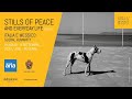 INAGURAZIONE RASSEGNA STILLS OF PEACE XI. ITALIA E MESSICO: GLOBAL HUMANITY