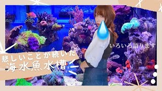 【海水魚水槽】大好きな海水魚との別れ｜海水魚の治療｜液浸標本｜いろいろあったのでご報告｜reef tank｜