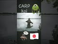 k.takeda teamcarproad shorts カープフィッシング カープロード 鯉釣り carpfishing 釣り