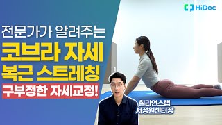 구부정한 자세교정! 전문가가 알려주는 코브라 자세 복근 스트레칭!