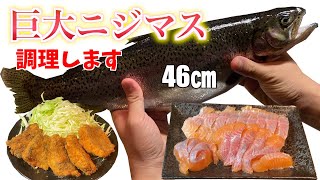 【川魚の刺身？！】巨大なニジマスを釣って捌いたら驚きの色…【巨大ニジマス料理】