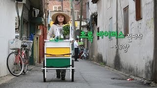 [한겨레 포커스] 도심에 핀 '초록 바이러스', 이우향