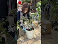 水遣りのタイミング～鉢の重みを感じよう～ short 相原バラ園 バラの水やり