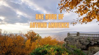 One Hour of Autumn Ambience to Fall Asleep to