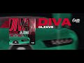 OLZXVS - DIVA