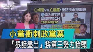 【說內幕】小黨衝刺政黨票 「狠話盡出」拚第三勢力抬頭