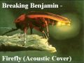Breaking Benjamin - 