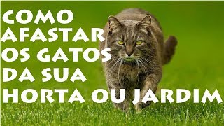 É possível Afastar os Gatos da Sua Horta, pomar ou Jardim??