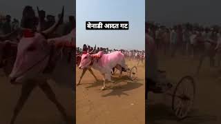 बेनाडी आदत निकाल...🚩१) महेश नागरगोजे बेडग तलाठी२)राजु आण्णा याळगार ५५५सजा \u0026 अनिल पांढरे #कोल्हापूर