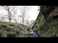 自然の音フィルム【体調が悪い時に聴く環境音楽】癒しのリラックスbgm♪｜original relaxation nature sounds video ★6