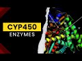 Cyp450 Enzymes | Cytochrome P450 | Drug metabolism | Pharmacology