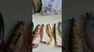 Kiedy guma zesztywnieje to szczupak jej nie gryzie #spinning #szczupak #fishing #fish #pike