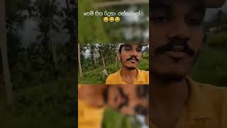 පෙම් සිත රිදුනා 😂💔 #mrkaluwa #meme #shortvideo #funny #subscribe #viralshort #motivational #trending