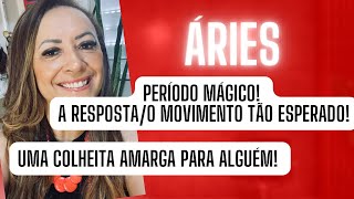 ÁRIES ♈️ Momento Mágico! A Resposta/O Movimento Tão Esperado Acontece!•Uma Colheita Amarga P/Alguém!