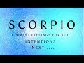 SCORPIO ♏️ THIS PERSON WANTS YOU TO CHASE THEM …. July 2024