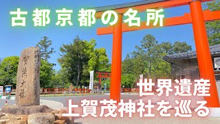 【京都】世界遺産　春の上賀茂神社を巡る