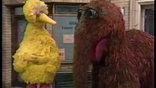 Sesame Street   Snuffy Has Snuffle Itis