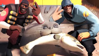 THE TF2 SEAL IS REAL