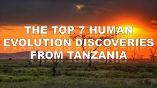 The Top Seven Human Evolution Discoveries from Tanzania