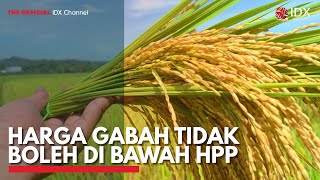 Harga Gabah Tidak Boleh di Bawah HPP | IDX CHANNEL