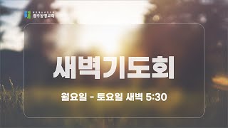 2023.6.13. 광주동명교회 새벽기도