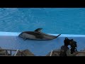 イルカパフォーマンスショーダイジェスト　【名古屋港水族館】dolphin port of nagoya public aquarium