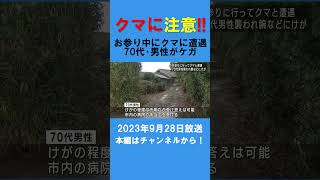 自宅裏手の「ほこら」でお参りしていたらクマに遭遇 男性がけが #ux新潟テレビ21 #新潟 #news