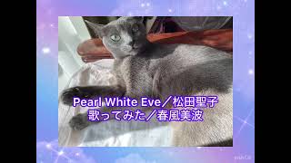 Pearl White Eve／松田聖子　歌ってみた／春風美波