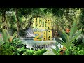 《秘境之眼》 黑熊 20240923 nature talks · 生逢其境