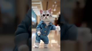 dusto kokil cute dance.#shorts #trending #funny #dance #cat