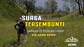 GUNUNG LAWU II SABANA SURGA TERSEMBUNYI