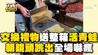 交換禮物送整箱活青蛙！下秒朝鏡頭跳出全場嚇瘋@cosmosviral