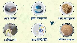 শুরু হয়েছে মুক্তপাঠে মুরগি পালন বিষয়ক অনলাইন কোর্স।মুক্তপাঠ।কৃষিকথা