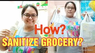 Tips How to Sanitize our Grocery Items//to Kill Germs // During Lockdown