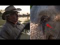 the elephant cries and asks the man for help and then unbelievable things happen