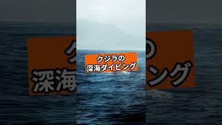 子どもと一緒に学ぶ！動物たちのユニークな特徴