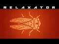 Cicada sound / Nature sounds / Relaxing sounds