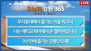 [강원365_6월6일(월)방송]우리동네에서 즐기는 마을 피크닉 /나는 에티오피아에서 온 멜하위입니다/3년 만에 즐기는 강릉단오제!