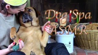 Soggy Pawz Doggy Spa: (ASMR for Dogs \u0026 People Who Like Dogs)