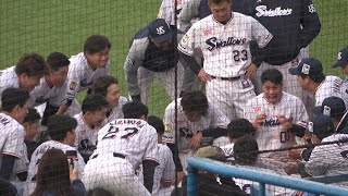 爆笑！奥村が円陣で吠える。村上宗隆　山田哲人　オスナ　サンタナ　長岡秀樹　内山壮真　丸山 和郁　青木 宣親広島カープ　ヤクルトスワローズ　2023年３月31日　開幕戦　神宮