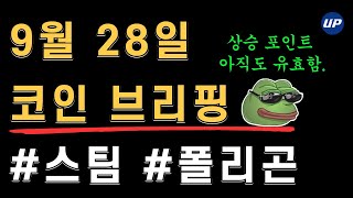 9월 28일 #폴리곤 #플로우 좋은 흐름 나오고 있습니다 | 비트코인 약반등 나오는중