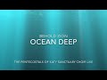 ocean deep shara mckee w lyrics for live service