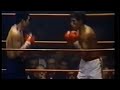 Kuniaki Shibata vs. Vicente Saldivar