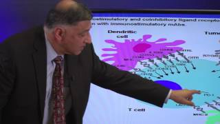 Fundamentals of Cancer Immunotherapy
