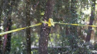 Human remains found buried in mound of dirt outside Marion County home, deputies say