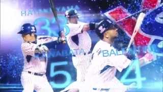 enjoy! Baseball LIVE 2014 東京ダービー