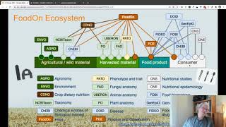 2021 FoodOn, the OBO Foundry ontologies, and Knowledge Graphs