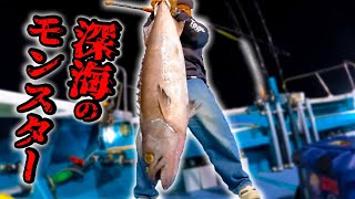 ご存知だろうか！？夜の深海には恐ろし過ぎる怪魚が存在する事を