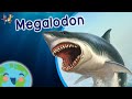 The Megalodon - Animals for Kids (Learning Videos for Kids)